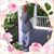 Cathy Carmack's profile image