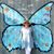 Shannon Rowland Schubert's profile image