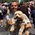 Eric J Sollod's profile image
