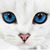 Deb Mast Vesci's profile image