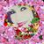Mely Clarke's profile image