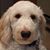 Stephen Sherrod's profile image