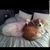 Alicia Dobre's profile image