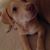 J.r. Alvarez's profile image