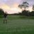 Jonathan Rodriguez's profile image