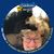 Lauri Struve's profile image