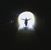 Molly Meisenbach-Shryock's profile image