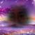 Carole White Bull's profile image