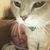 Anne Stengle's profile image