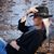 Melissa Faremouth's profile image