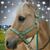Hope Steffens's profile image