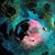 Henie Lorant's profile image