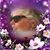 Victoria Lee Moats's profile image