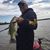 Brady Brown's profile image