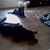Kristine McIe Wilkinson's profile image