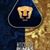Pumas Unam's profile image