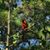 Lisa Tennant Warnick's profile image