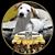 Charles Montegut Jr.'s profile image