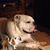 Jennifer Nuwer's profile image