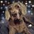 Vicki Eich Tice's profile image