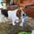 Deb Yadon's profile image