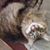 Kellie Osborn's profile image