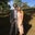 Jennie Ibstedt's profile image