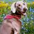 Brenda Leiser's profile image