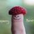 Jill Thunhorst's profile image