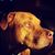 Sylvia Baer's profile image