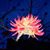 Adil Belbachir's profile image