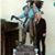 Mary Crecco's profile image