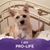 Ruth Thigpen's profile image