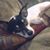 Debbie Becvar's profile image
