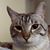 Elizabeth Cinco P's profile image