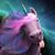 Heather Sterba's profile image