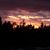Debby Wikel's profile image