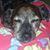 Susan Kinsey Thompson's profile image