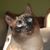 Debbie Long's profile image