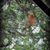 Debbie M. Benedict's profile image