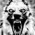 Tim Ray's profile image