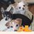 Valerie Billings Beal's profile image
