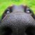 Jason ES's profile image