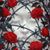 Tammy Tassin's profile image