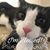 Nancy Wagner's profile image