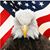 Brandi Ferster's profile image
