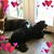 Shelagh Beringer's profile image
