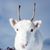 Andrew Houldsworth's profile image