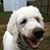 Patty Lovell's profile image