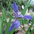 Debra Mitchell's profile image